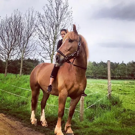 Arendel Lisnice (Central Bohemian)