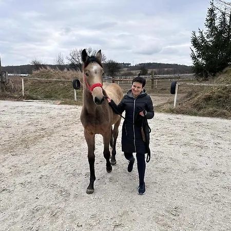 Arendel Feriegård Lisnice (Central Bohemian)