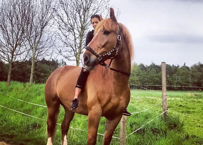 Arendel Lisnice (Central Bohemian)