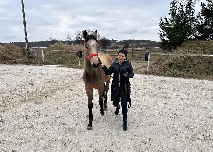 Arendel Séjour à la ferme Lisnice (Central Bohemian)